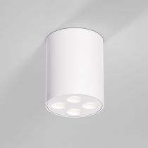Точечный светильник Elektrostandard Points 25111/LED