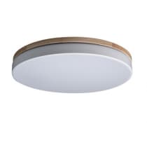 Потолочный светильник Axel 10001/36 White Loft It