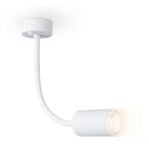 Настенно-потолочный светильник Ambrella WALLERS FW2469