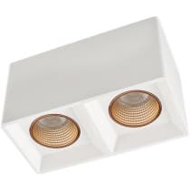 Накладной светильник Denkirs DK3030 DK3085-WH+BR