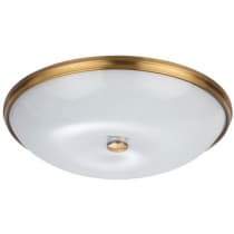 Настенно-потолочный светильник Odeon Light Pelow 4956/6