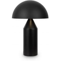 Интерьерная настольная лампа Freya Eleon FR5218TL-02B1