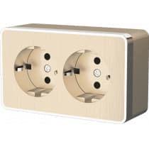 Розетка двойная с заземлением Werkel WL15-02-03 Gallant шампань рифленый 4690389129643