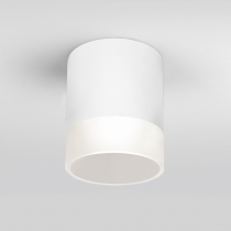 Потолочный светильник уличный Elektrostandard Light LED 35140/H белый