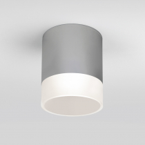 Потолочный светильник уличный Elektrostandard Light LED 35140/H серый