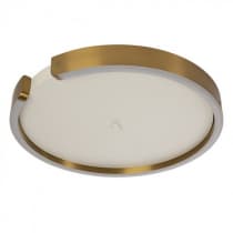 Потолочный светильник Ring 10026 Loft It