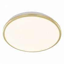 Настенно-потолочный светильник Citilux Луна CL702302Wz