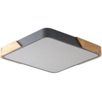 Потолочный светильник Zortes Alberro ZRS.01288.60
