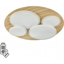 Потолочный светильник Sonex Pine 7734/60L