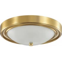 Потолочный светильник Lumion Nina 5259/2C