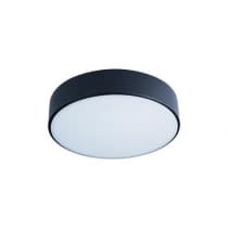 Потолочный светильник Axel 10002/12 Black Loft It