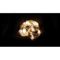 Гирлянда сеть FERON CL70, 160LED, 2700К (теплый белый) 32355