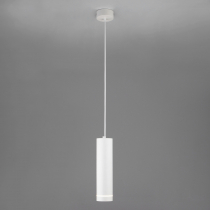 Подвесной светильник Elektrostandard Topper DLR023