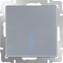 Выключатель одноклавишный с подсветкой Werkel WL06-SW-1G-LED серебряный 4690389053856