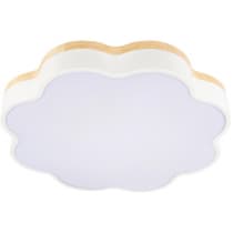 Потолочный светильник Loft It Axel 10225/36 White
