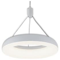 Подвесной светильник Citilux ПАРКЕР CL225110r