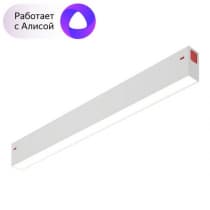 Трековый светильник Smart DK8004-WH Denkirs