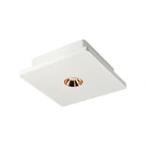 Точечный светильник Architect OL1072-WG/1 Loft It
