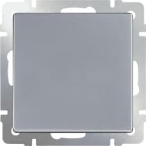 Выключатель одноклавишный Werkel WL06-SW-1G серебряный 4690389053818