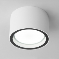 Потолочный светильник уличный Elektrostandard Light 35144/H