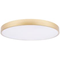 Потолочный светильник Loft It Flims 10228/B