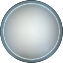 Настенно-потолочный светильник TopLight Portia TL1128-1Y