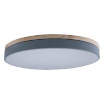 Потолочный светильник Axel 10001/36 Grey Loft It
