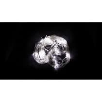Гирлянда сеть FERON CL70, 160LED, 5000К (белый) 32356
