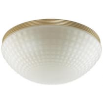 Потолочная люстра Odeon Light Malaga 4936/3C
