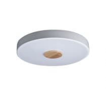 Потолочный светильник Axel 10003/24 White Loft It