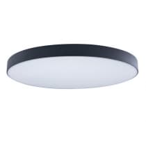 Потолочный светильник Axel 10002/48 Black Loft It