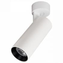 Спот Citilux ТУБУС CL01B120