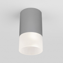 Потолочный светильник уличный Elektrostandard Light LED 35139/H серый