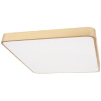 Потолочный светильник Loft It Flims 10228/D