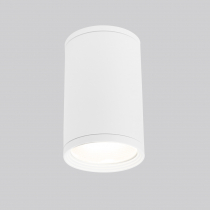 Потолочный светильник уличный Elektrostandard Light 35128/H белый