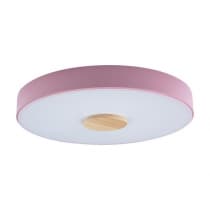 Потолочный светильник Axel 10003/24 Pink Loft It