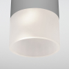 Потолочный светильник уличный Elektrostandard Light LED 35139/H серый