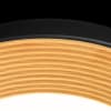 Потолочный светильник Loft It Folk 10255/500 Black