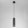 Подвесной светильник Elektrostandard Topper DLR023