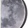Настенно-потолочный светильник Escada Planet 10226/SG LED Moon