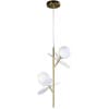 Подвесной светильник Zortes Floret ZRS.01201.02