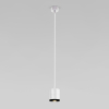 Подвесной светильник Elektrostandard Lead 50243 LED