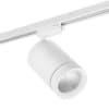 Трековый светильник Lightstar CANNO 303262