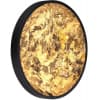 Настенно-потолочный светильник Odeon Light Bergi 5064/40L