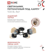 Светильник потолочный под лампу IN HOME AURA TESO-BL-4E27 540x430x150 черный, золото 4690612058092