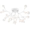 Потолочная люстра Freya Florencia FR5049CL-27W2