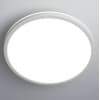 Настенно-потолочный светильник Citilux Basic Line CL738320VL