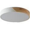 Потолочный светильник Zortes Alberro ZRS.01239.90