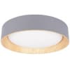 Потолочный светильник Loft It Coin 10202 Grey