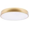 Потолочный светильник Loft It Flims 10228/A